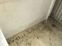 ટ્રોલર વેચાણ માટે