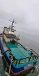 ટોબોટ વેચાણ માટે