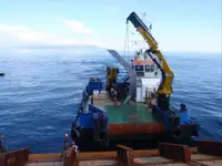 ટોબોટ વેચાણ માટે