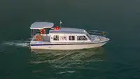 ક્રૂઝ જહાજ વેચાણ માટે