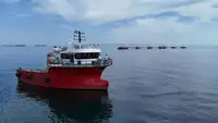 વર્ક બોટ વેચાણ માટે