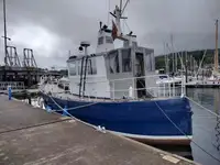પાયલોટ બોટ વેચાણ માટે