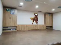 રીફર જહાજ વેચાણ માટે