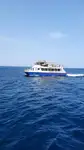 કેટામરન વેચાણ માટે