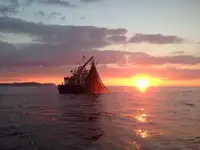 ટ્રોલર વેચાણ માટે