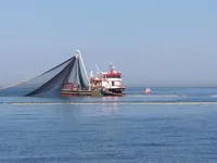માછીમારી જહાજ વેચાણ માટે