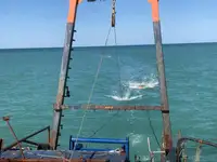 વર્ક બોટ વેચાણ માટે