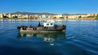 વર્ક બોટ વેચાણ માટે
