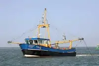 ટ્રોલર વેચાણ માટે