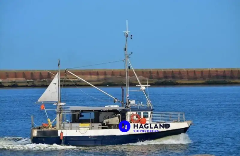 લોંગલાઇનર વેચાણ માટે