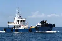 વર્કબોટ વેચાણ માટે