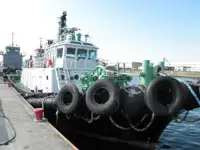 ટોવબોટ વેચાણ માટે