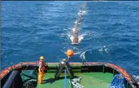 ટોબોટ વેચાણ માટે