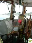 ટોબોટ વેચાણ માટે