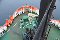 ટોબોટ વેચાણ માટે