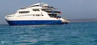 ડાઇવ સપોર્ટ વેચાણ માટે