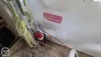 ક્રૂઝ જહાજ વેચાણ માટે