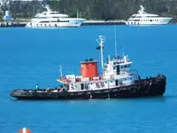 ટોવબોટ વેચાણ માટે