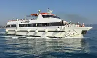 પેસેન્જર જહાજ વેચાણ માટે