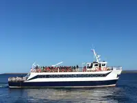 પેસેન્જર જહાજ વેચાણ માટે