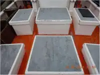 ટ્રોલર વેચાણ માટે