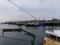 ટ્રોલર વેચાણ માટે