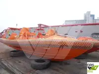 વર્ક બોટ વેચાણ માટે