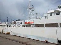 લોંગલાઇનર વેચાણ માટે