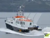 Wind farm service vessel વેચાણ માટે