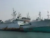 લોંગલાઇનર વેચાણ માટે