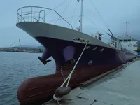 General Cargo/Multi-purpose વેચાણ માટે