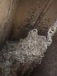 બલ્ક કેરિયર વેચાણ માટે
