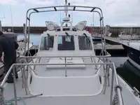 પાયલોટ બોટ વેચાણ માટે