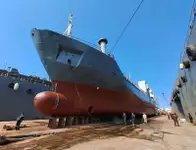 બલ્ક કેરિયર વેચાણ માટે