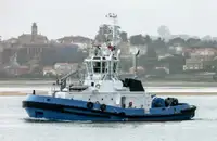ટોવબોટ વેચાણ માટે