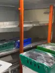 ક્રૂઝફેરી વેચાણ માટે