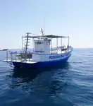 ટ્રોલર વેચાણ માટે
