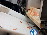 ટ્રોલર વેચાણ માટે