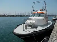 પાયલોટ બોટ વેચાણ માટે
