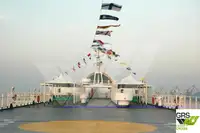રો-રો જહાજ વેચાણ માટે