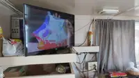 ટ્રોલર વેચાણ માટે