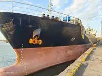 બલ્ક કેરિયર વેચાણ માટે