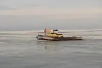 ટોવબોટ વેચાણ માટે