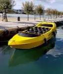 મુસાફર જહાજ વેચાણ માટે