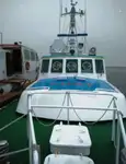 પાયલોટ બોટ વેચાણ માટે