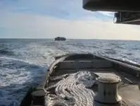ટોબોટ વેચાણ માટે