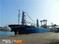 બલ્ક કેરિયર વેચાણ માટે
