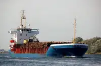 બલ્ક કેરિયર વેચાણ માટે