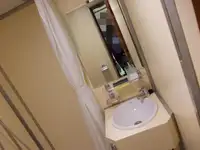 બલ્ક કેરિયર વેચાણ માટે