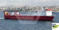 Ro-Ro ship વેચાણ માટે